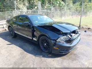 FORD FORD MUSTANG V6 PREMIUM