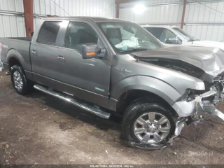 FORD FORD F-150 XLT
