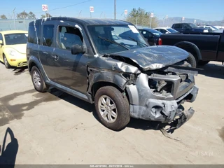 HONDA HONDA ELEMENT EX