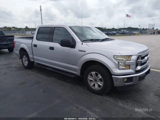 FORD FORD F-150 XLT