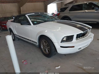 FORD FORD MUSTANG