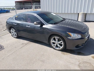 NISSAN NISSAN MAXIMA 3.5 SV
