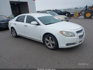 CHEVROLET CHEVROLET MALIBU 1LT