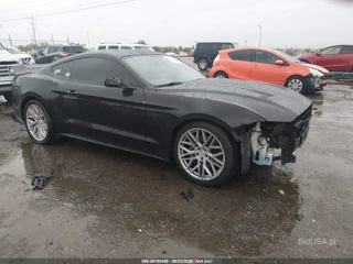 FORD FORD MUSTANG GT