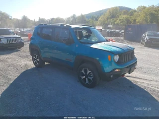 JEEP JEEP RENEGADE TRAILHAWK 4X4