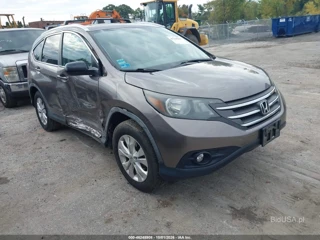 HONDA HONDA CR-V EX-L