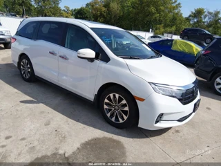 HONDA HONDA ODYSSEY EX-L