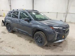 SUBARU SUBARU FORESTER WILDERNESS