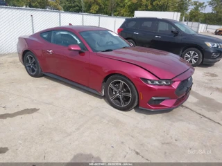 FORD FORD MUSTANG ECOBOOST FASTBACK