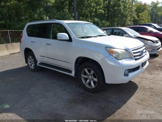 LEXUS LEXUS GX 460 PREMIUM