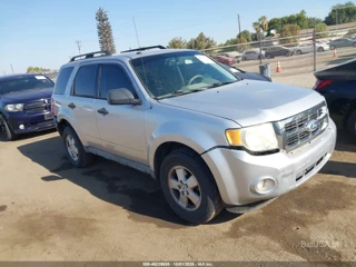 FORD FORD ESCAPE XLT