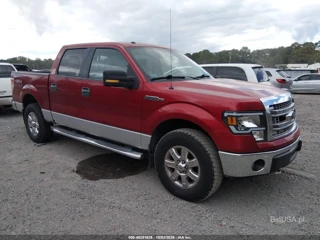 FORD FORD F-150 XLT