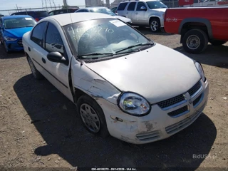 DODGE DODGE NEON SE