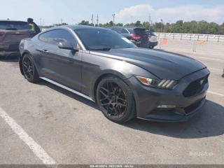 FORD FORD MUSTANG V6