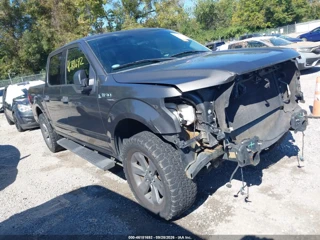 FORD FORD F-150 XLT