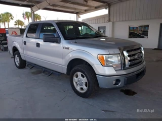 FORD FORD F-150 XLT
