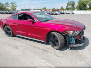 FORD FORD MUSTANG ECOBOOST