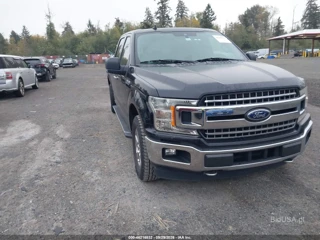 FORD FORD F-150 XLT