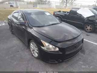 NISSAN NISSAN MAXIMA 3.5 SV