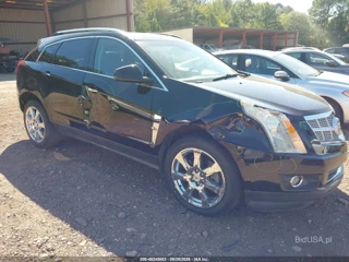 CADILLAC CADILLAC SRX PERFORMANCE COLLECTION