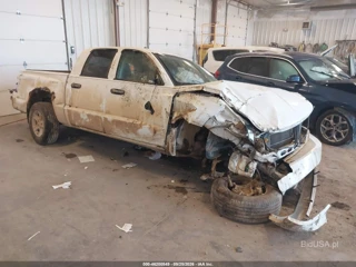 DODGE DODGE DAKOTA BIGHORN/LONESTAR