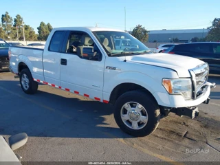 FORD FORD F-150 XLT