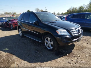 MERCEDES-BENZ MERCEDES-BENZ M-CLASS ML 350