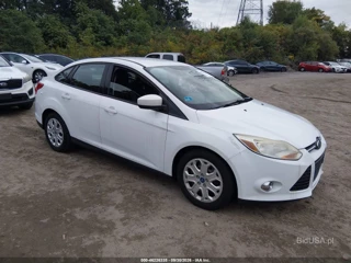 FORD FORD FOCUS SE