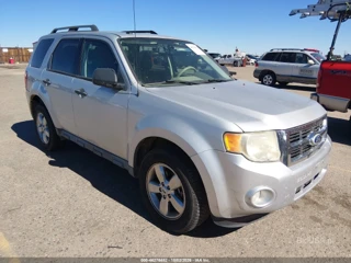 FORD FORD ESCAPE XLT
