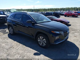 HYUNDAI HYUNDAI TUCSON HYBRID BLUE