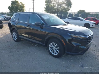 HONDA HONDA CR-V LX AWD