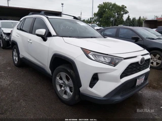 TOYOTA TOYOTA RAV4 XLE