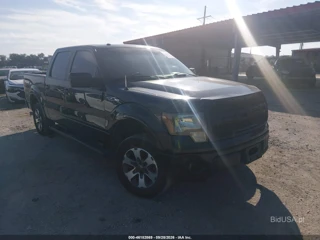 FORD FORD F-150 FX2
