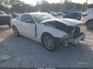 FORD FORD MUSTANG V6