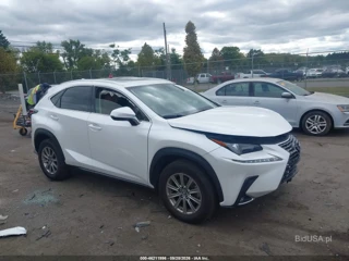 LEXUS LEXUS NX 300