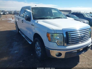 FORD FORD F-150 XLT