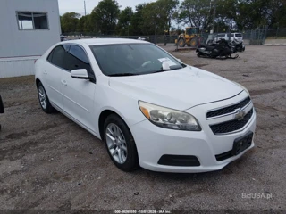 CHEVROLET CHEVROLET MALIBU 1LT