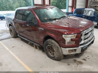 FORD FORD F-150 XLT
