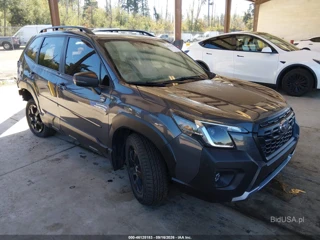 SUBARU SUBARU FORESTER WILDERNESS