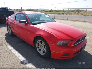 FORD FORD MUSTANG V6