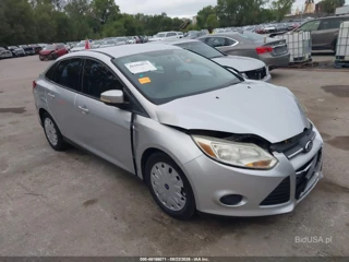 FORD FORD FOCUS SE