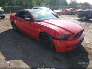 FORD FORD MUSTANG V6 PREMIUM