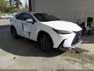 LEXUS LEXUS NX 350 PREMIUM