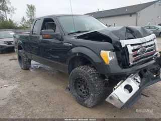 FORD FORD F-150 XLT