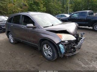 HONDA HONDA CR-V EX-L