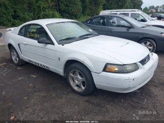 FORD FORD MUSTANG