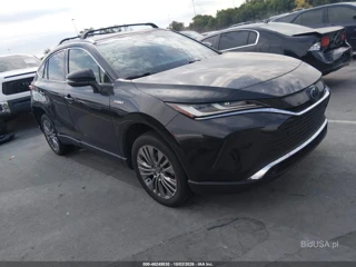 TOYOTA TOYOTA VENZA XLE