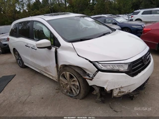 HONDA HONDA ODYSSEY TOURING