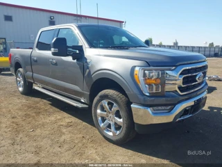FORD FORD F-150 XLT