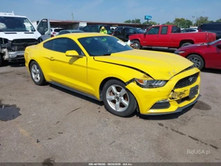 FORD FORD MUSTANG V6